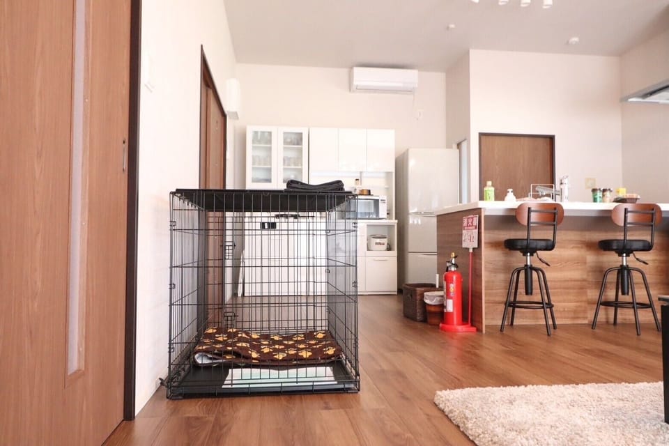 Basic House, Patio | Living area