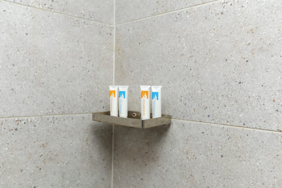 Combined shower/tub, free toiletries, hair dryer, towels
