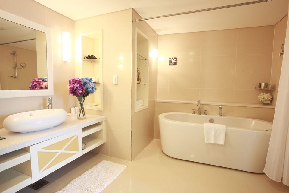 Hair dryer, bidet, towels, soap