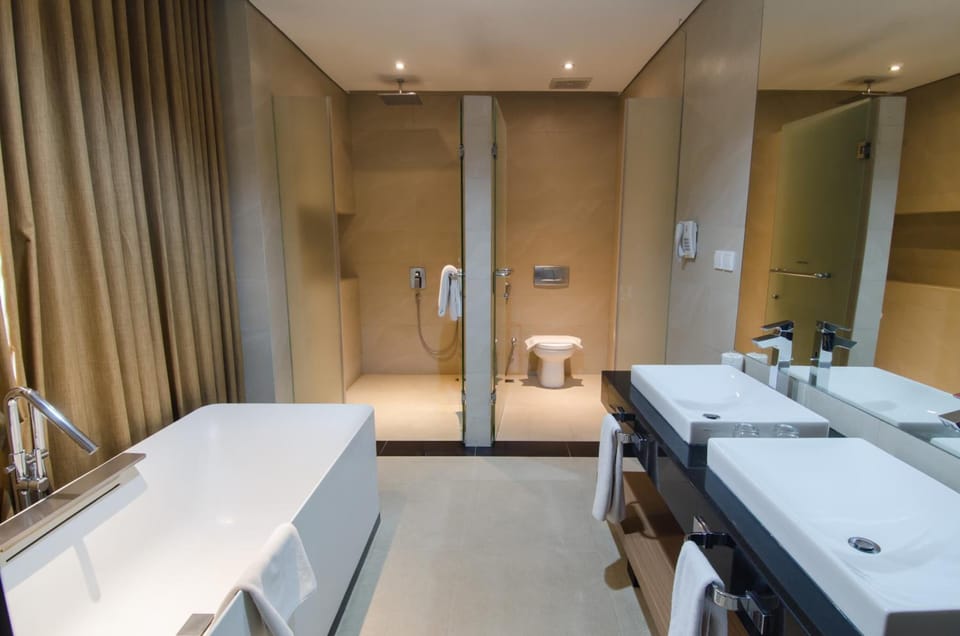 Shower, free toiletries, hair dryer