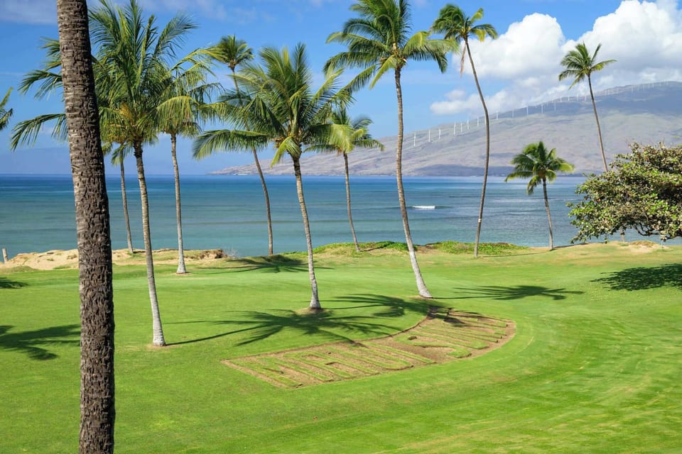 Nature's masterpiece! Our vibrant lawns lead to the beautiful ocean, offering a serene and stunning landscape.