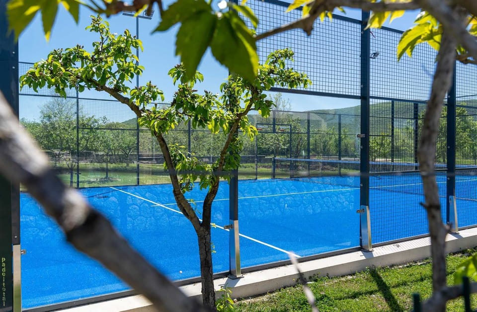 Sport court