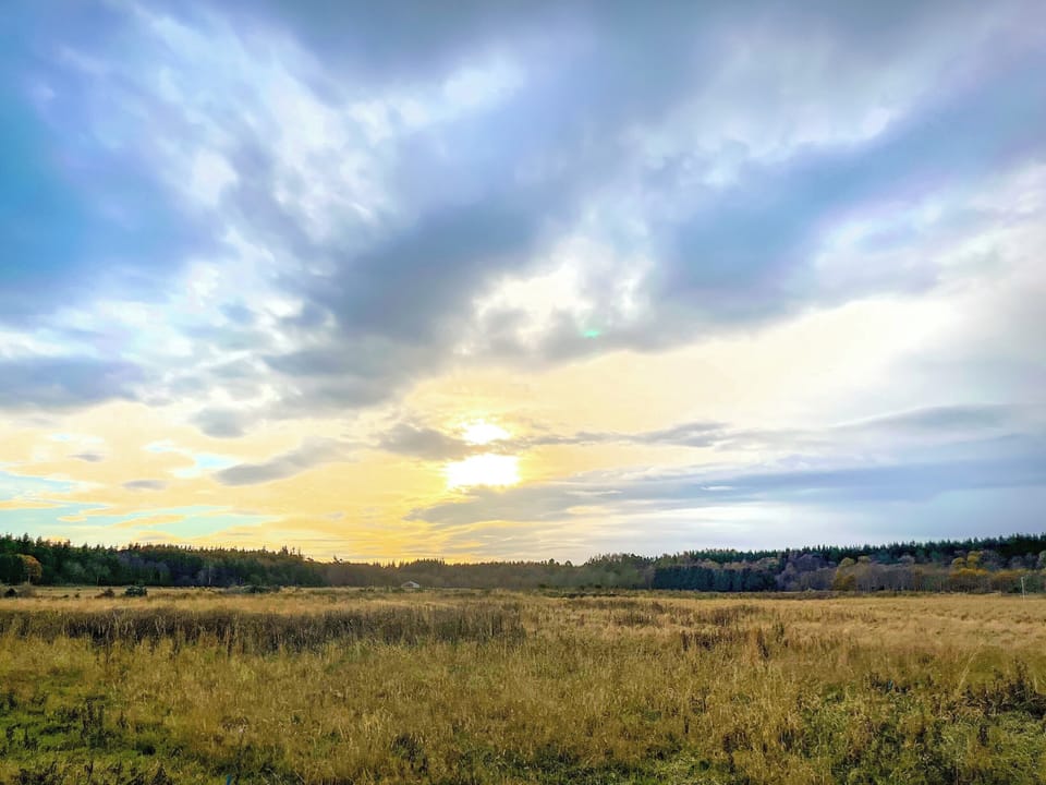 View | The Kestrel - Riverview Country Park, Forres