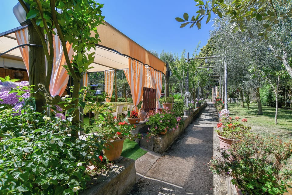 Garden view