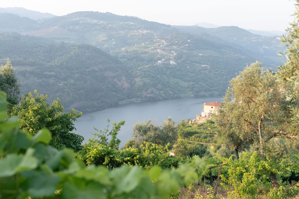 Land view from property