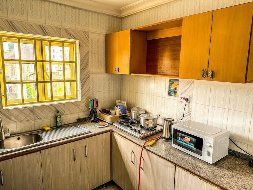 Economy Apartment, Balcony, City View | Private kitchen | Fridge, microwave, oven, stovetop