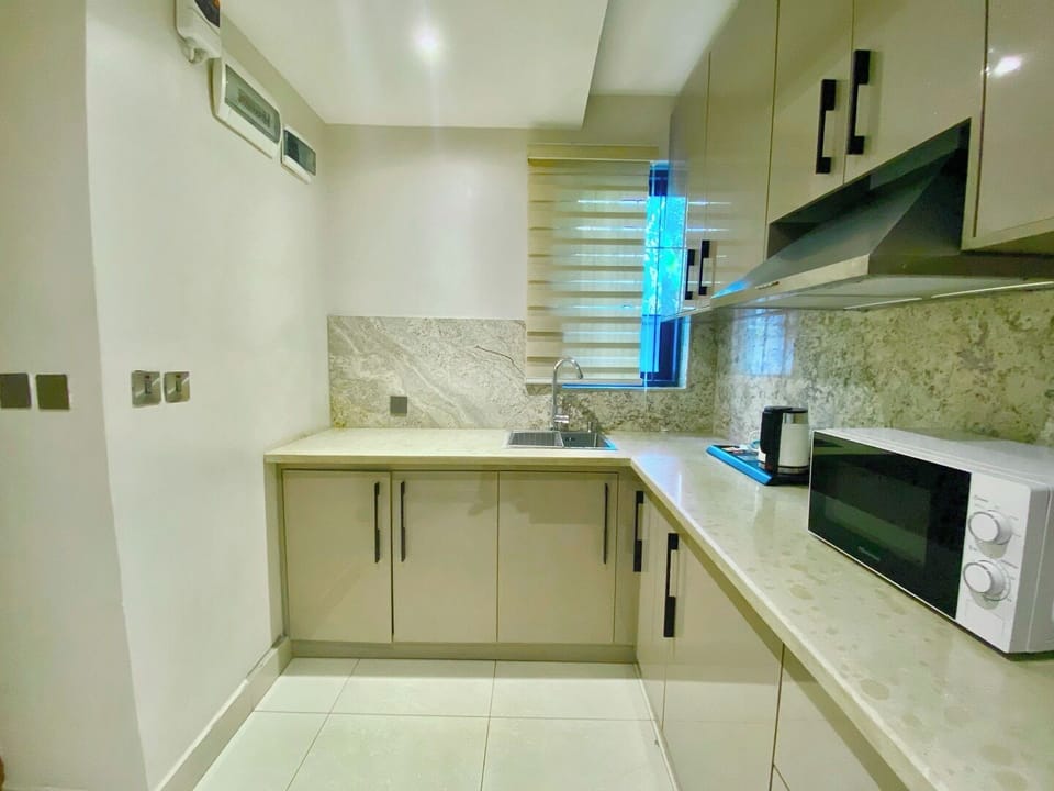 Standard Room, Balcony, City View | Private kitchen | Fridge, microwave, stovetop, dishwasher