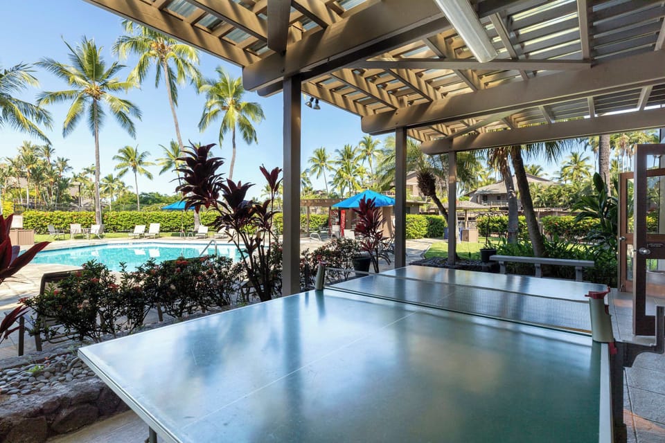 Kanaloa at Kona Pavillion PingPong