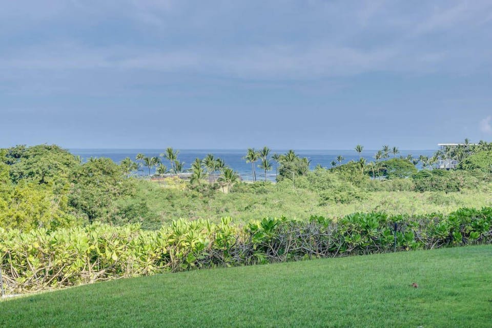 Ocean view