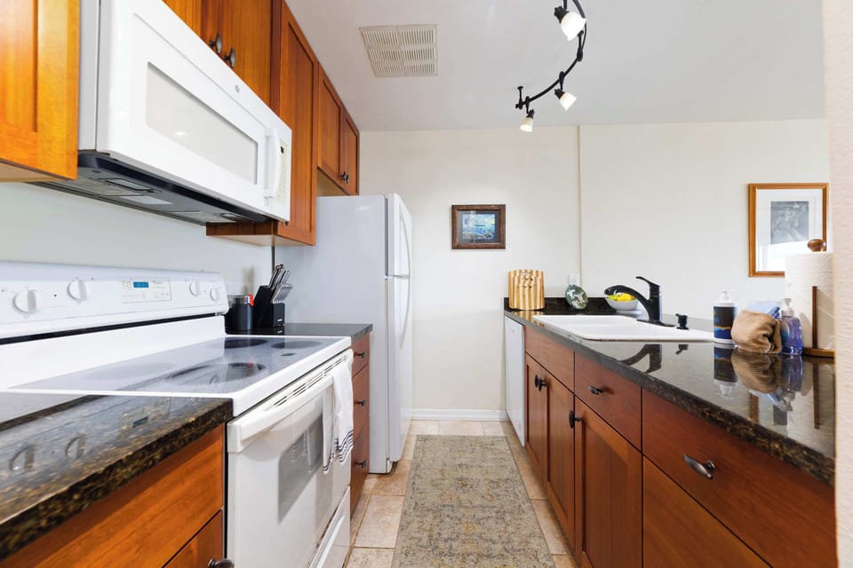 Electric stove and oven