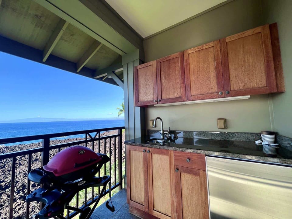Lanai grill and wet bar