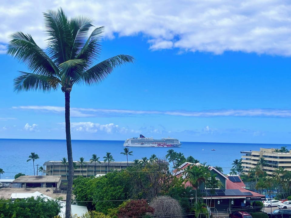 Ocean and town view
