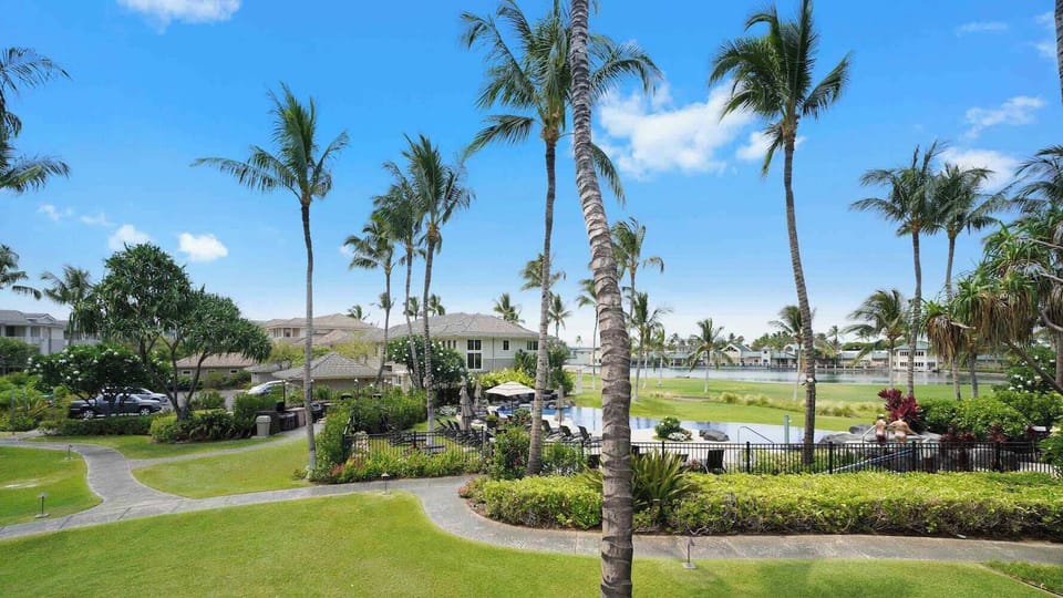 Pathway to pool surrounded by grass and palm trees