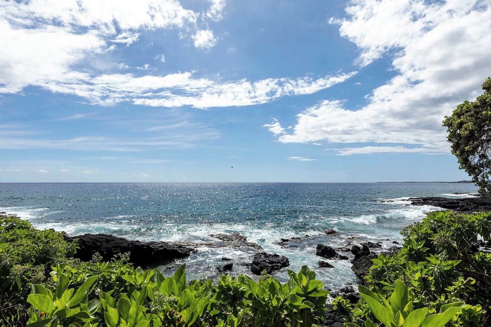 Royal Sea Cliff