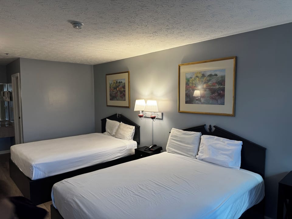 Desk, blackout drapes, iron/ironing board, free WiFi