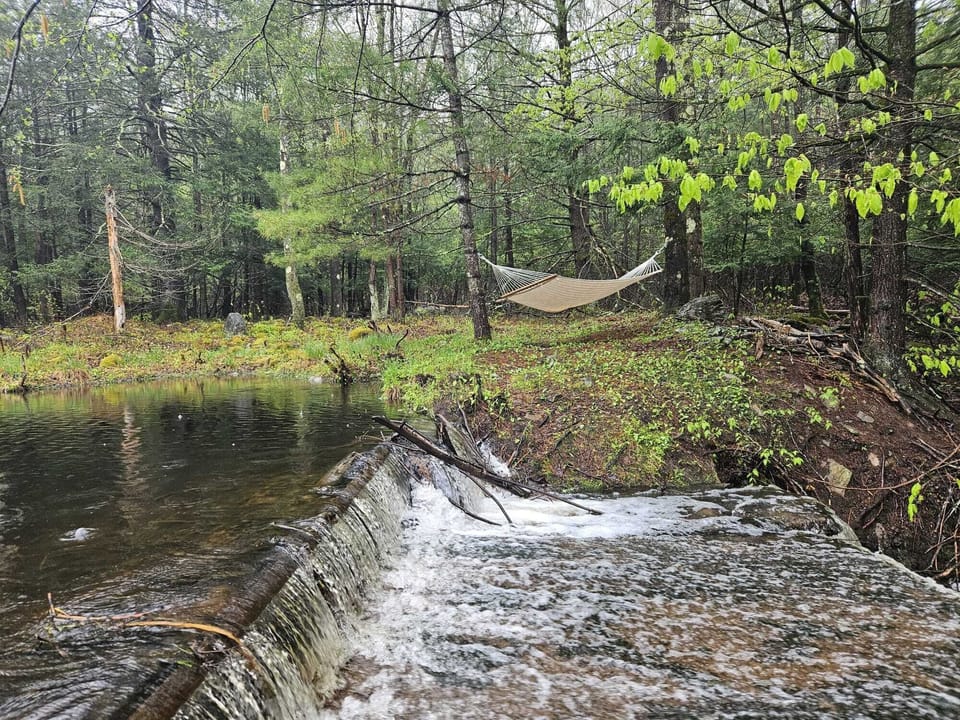 Freshwater stream running beside your personal trail.