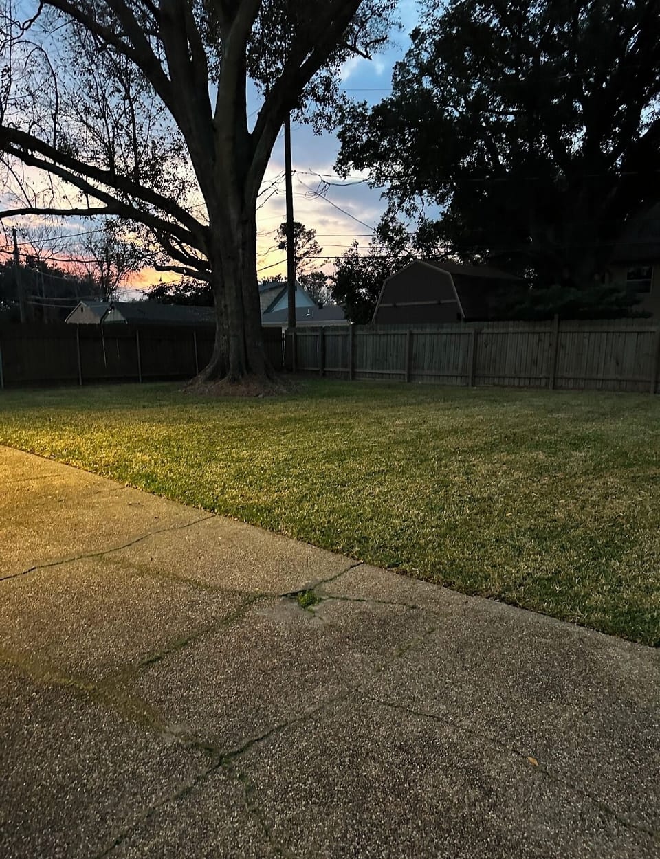 Backyard 