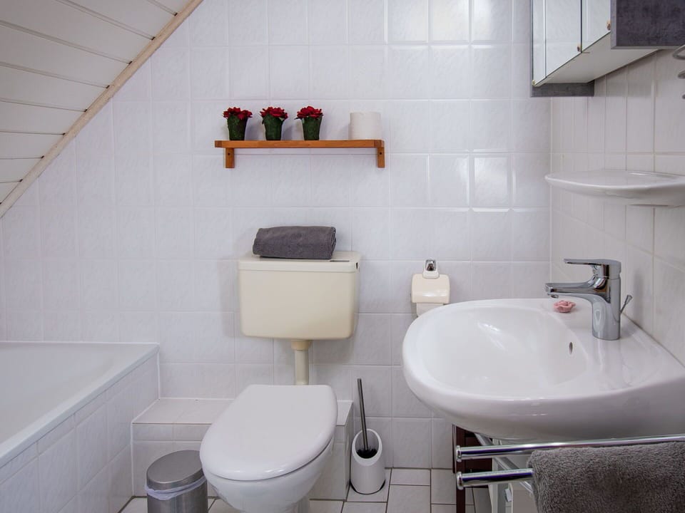 Bathroom, Bathroom Sink, Plumbing Fixture, Sink, Wall, Toilet, Toilet Seat, Flooring, Interior Design, Tap