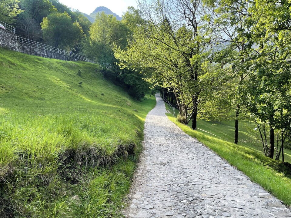Green, Grass, Natural Landscape, Landscape, Trail, Walkway, Groundcover, Thoroughfare, Mountain Pass, Landscaping