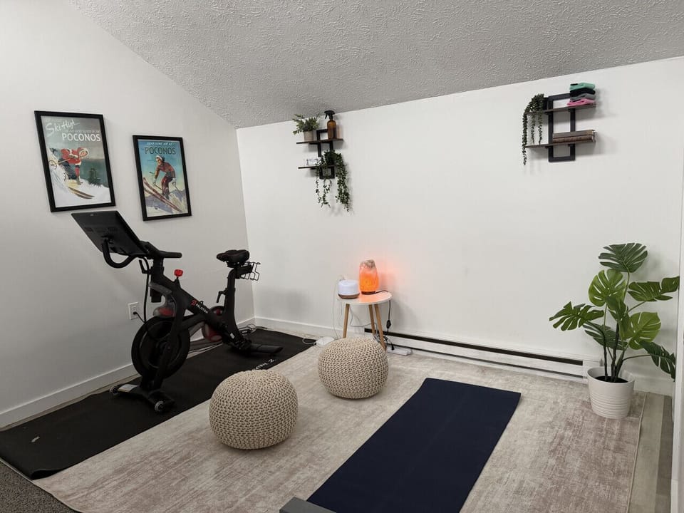 Wellness Loft with pelaton, yoga mat with yoga blocks, resistance bands, oil diffuser, Himalayan salt lamp.