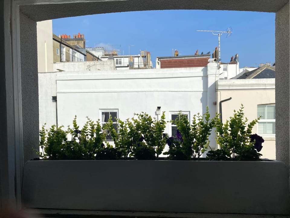 Rooftop Views