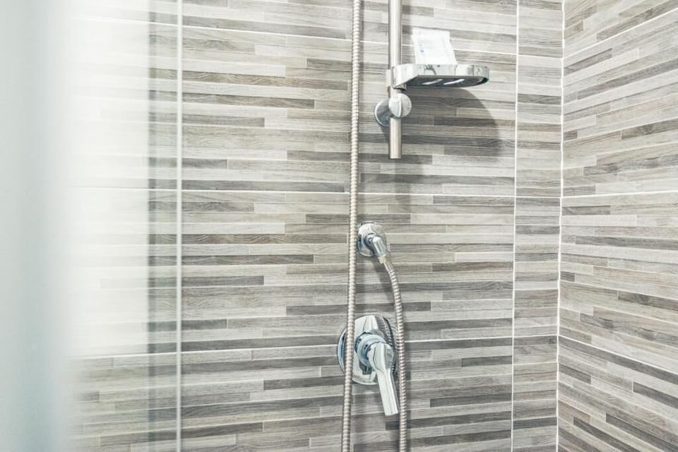 Shower, hair dryer, bathrobes, bidet