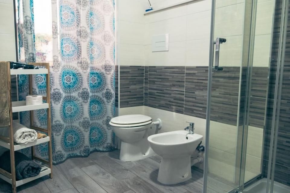 Shower, hair dryer, bathrobes, bidet