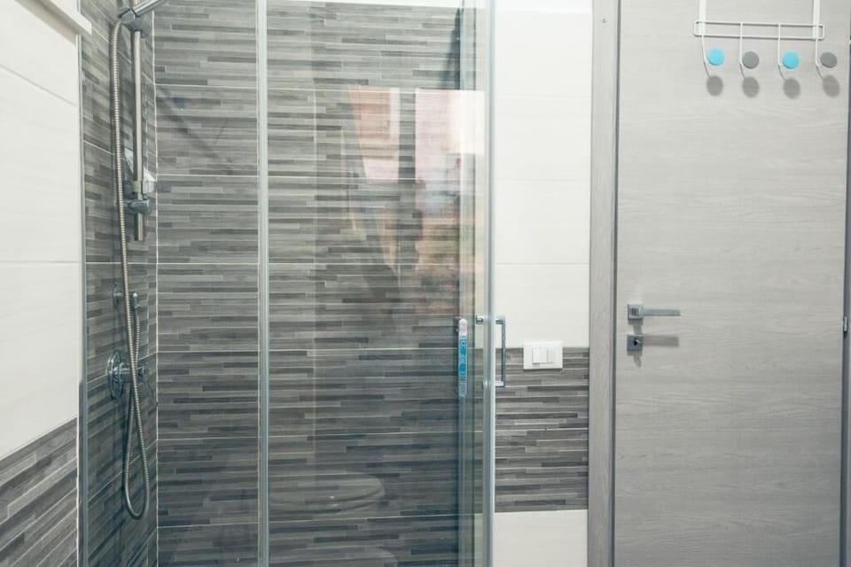 Shower, hair dryer, bathrobes, bidet