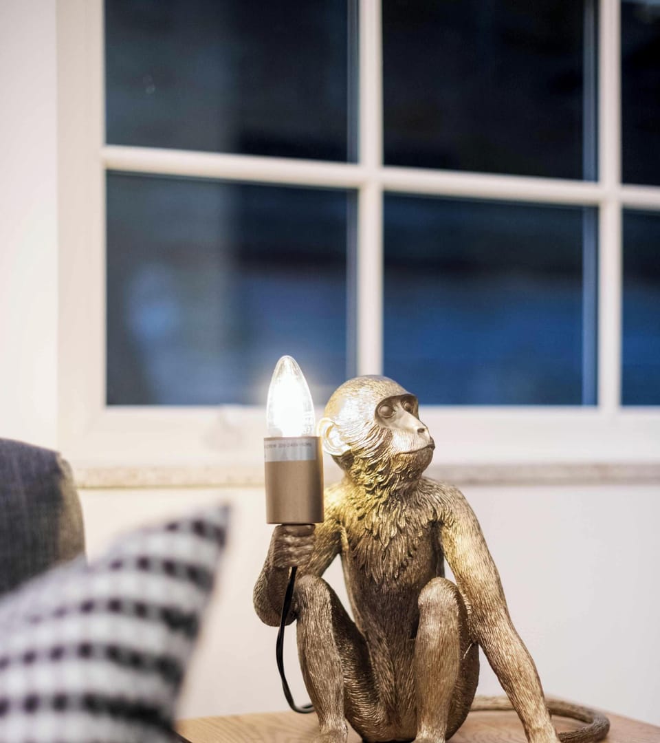 A mix of cozy furnishings and tasteful decor to create a welcoming space.