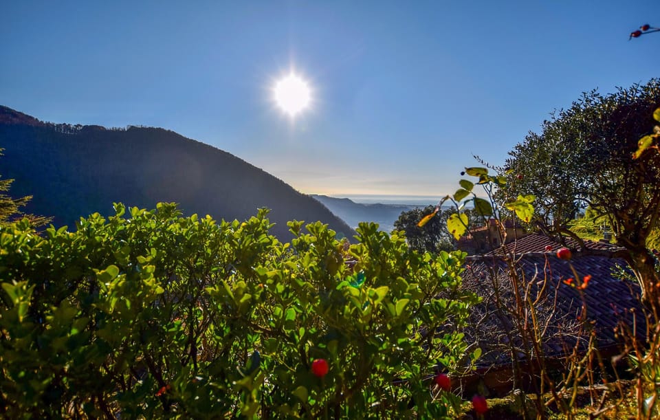view-from-room