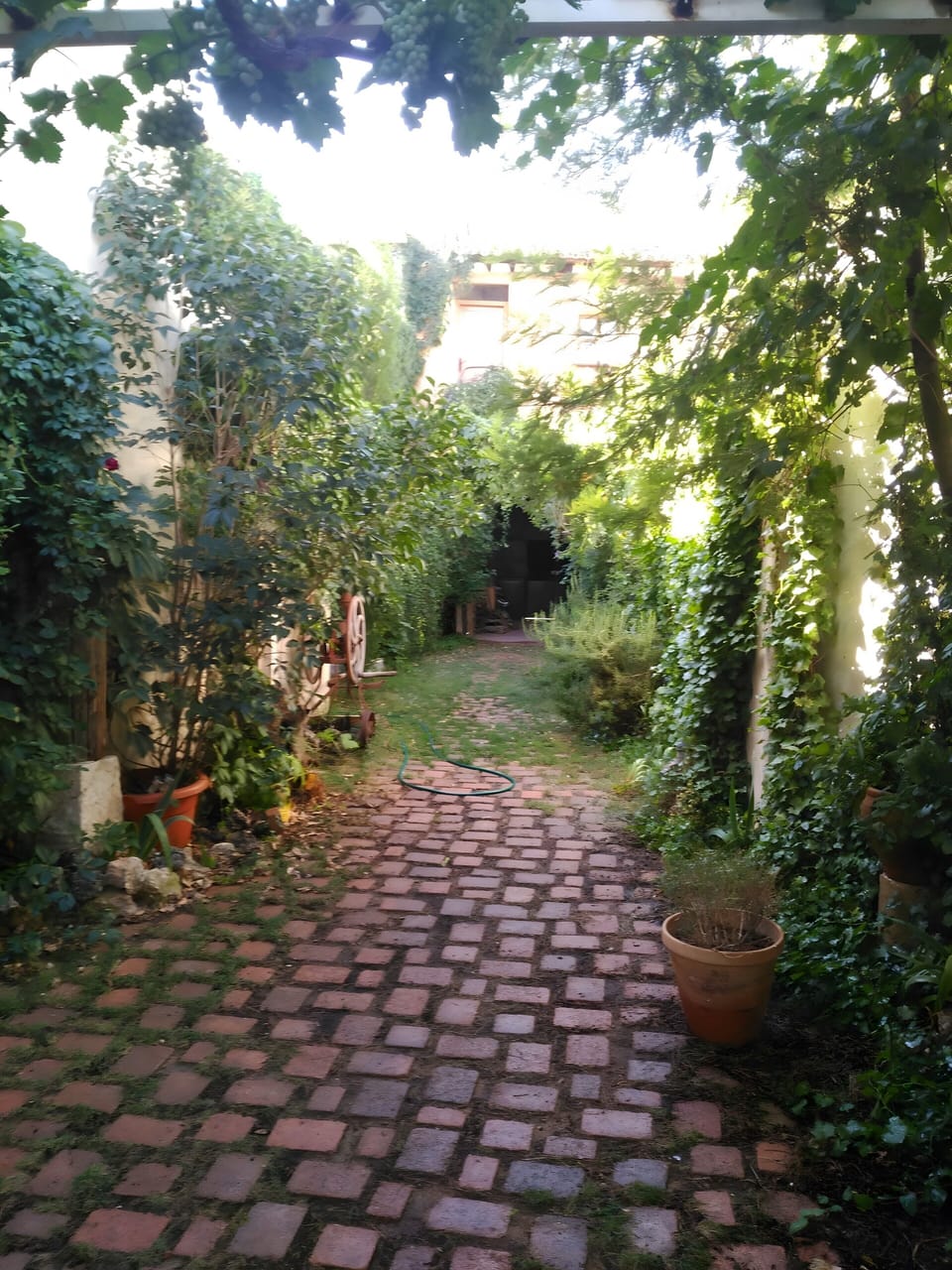 Property grounds