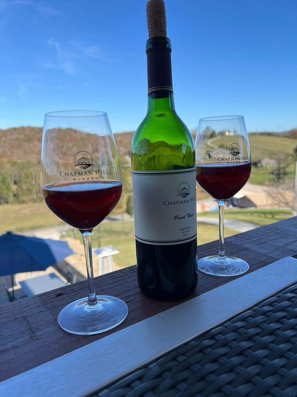 Chapman Hill Winery (423) 352-6311
