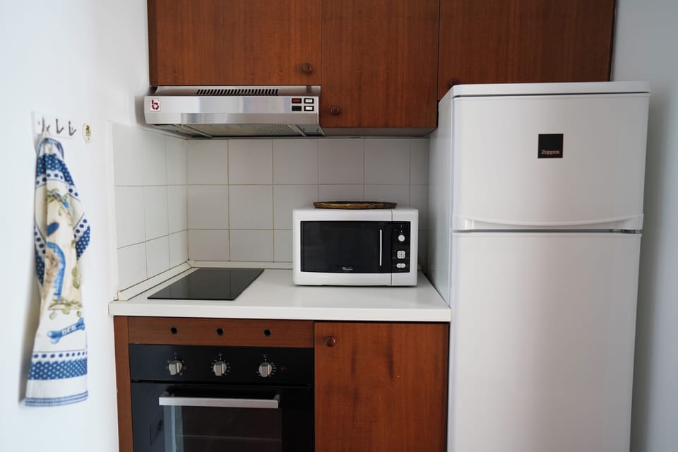 Apartment, Lake View | Private kitchen | Fridge, microwave, oven, stovetop