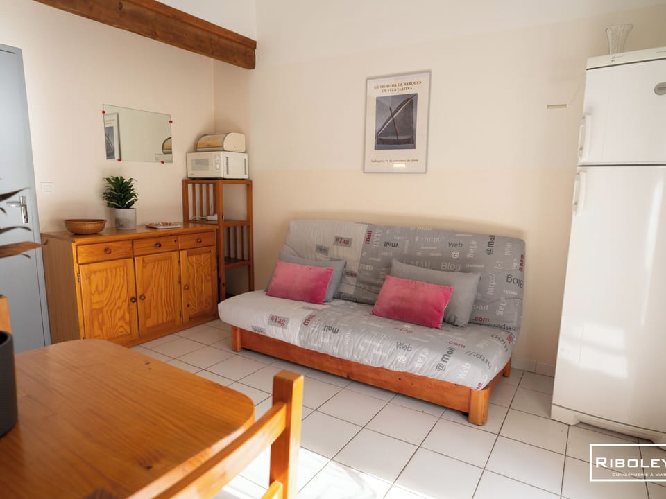 Living room with sofa bed
