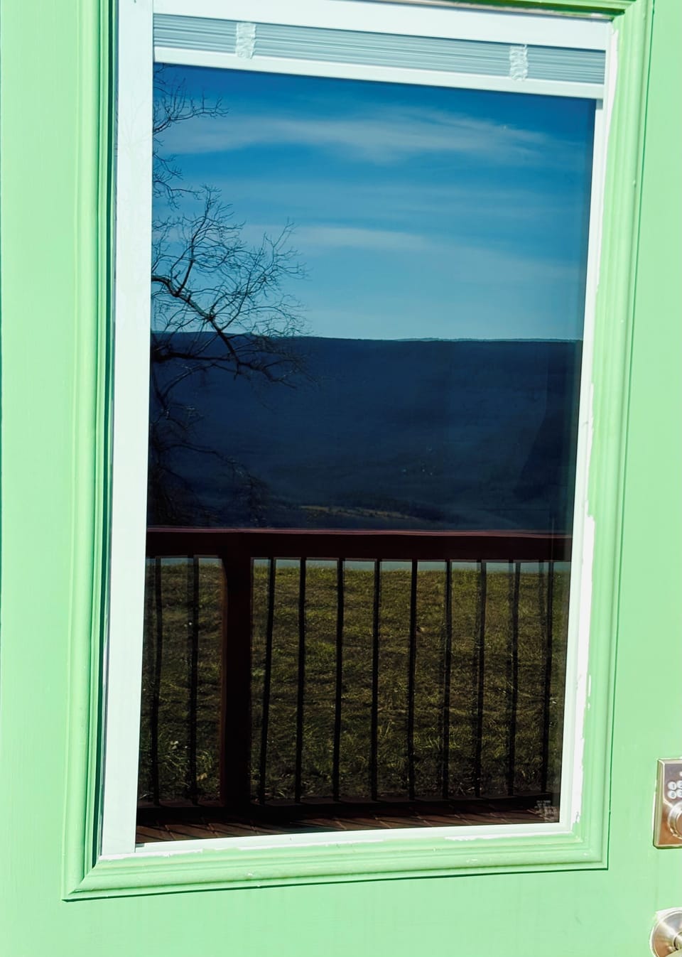 Viewing reflections.