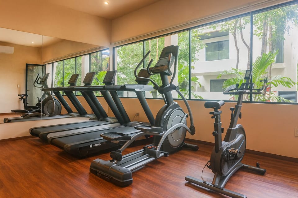 The gym