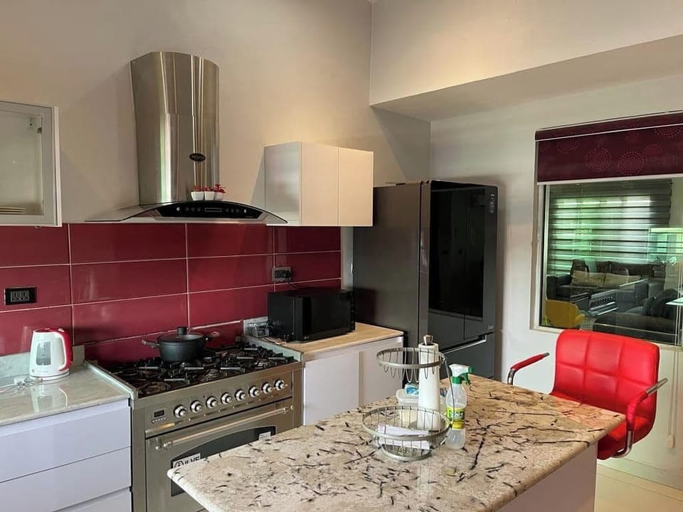Standard Apartment, Balcony, City View | Private kitchen | Fridge, microwave, oven, stovetop