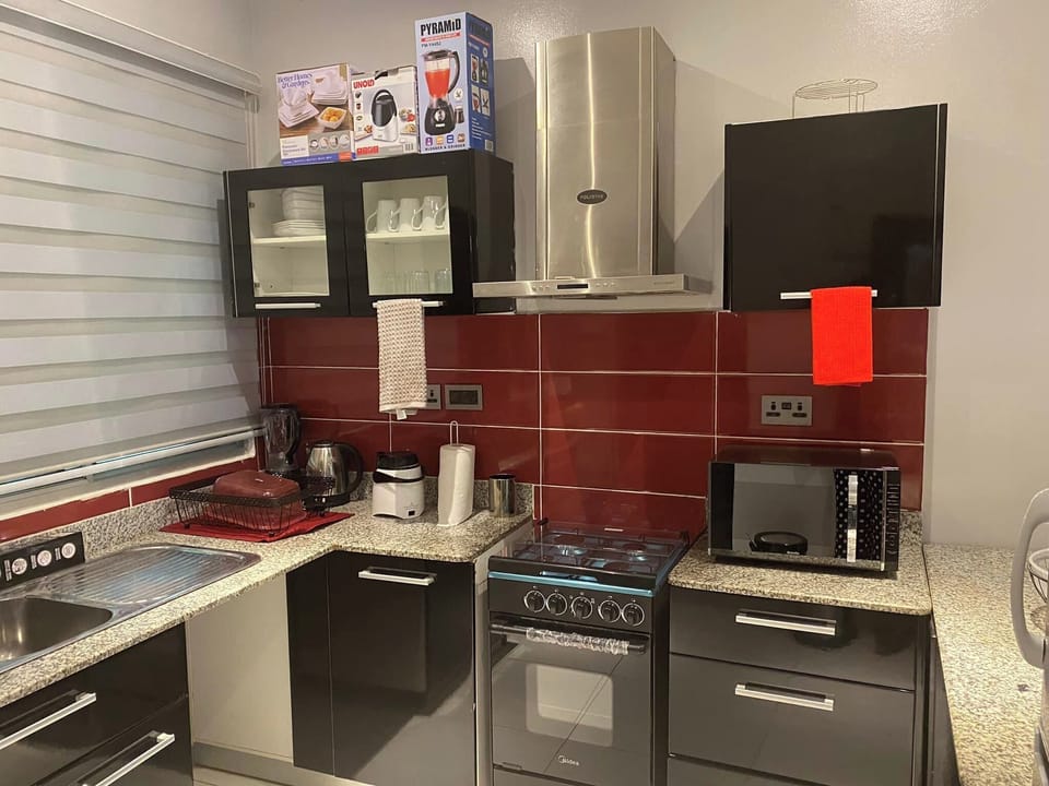 Standard Apartment, Balcony, City View | Private kitchen | Fridge, microwave, oven, stovetop