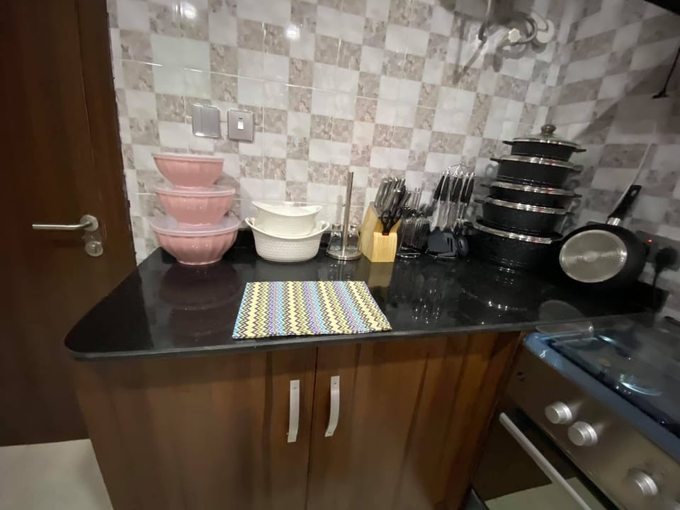 Family Apartment, Balcony, City View | Private kitchen | Fridge, microwave, oven, stovetop