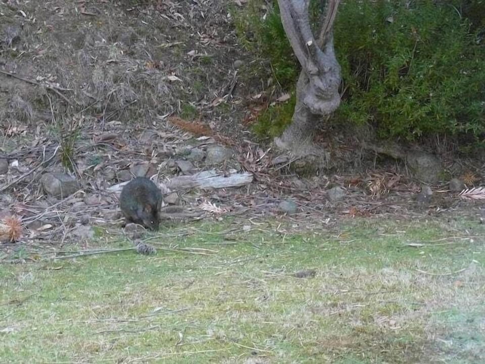 14d3f742-cd8b-4e31-a752-71edc583487d (1)