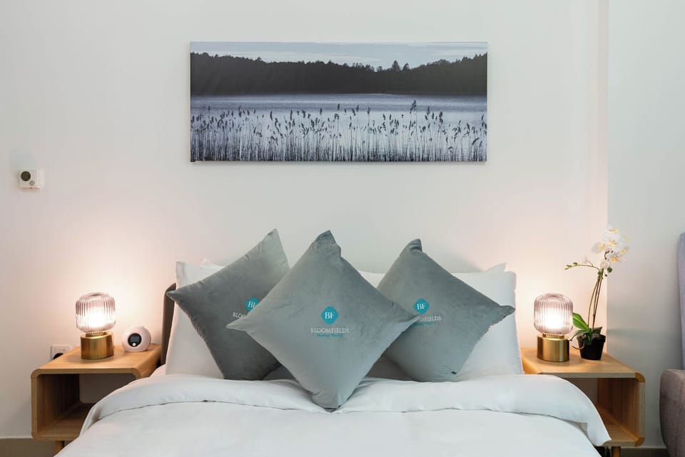 Comfort Apartment | 1 bedroom, in-room safe, iron/ironing board, free WiFi