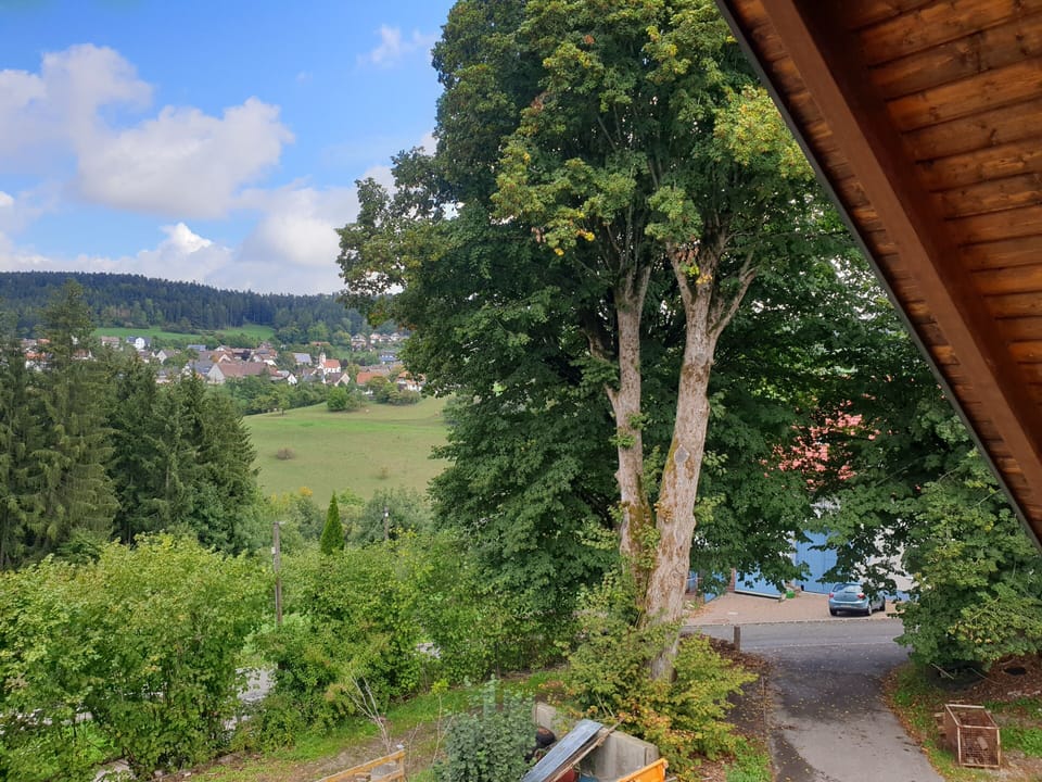 View from property