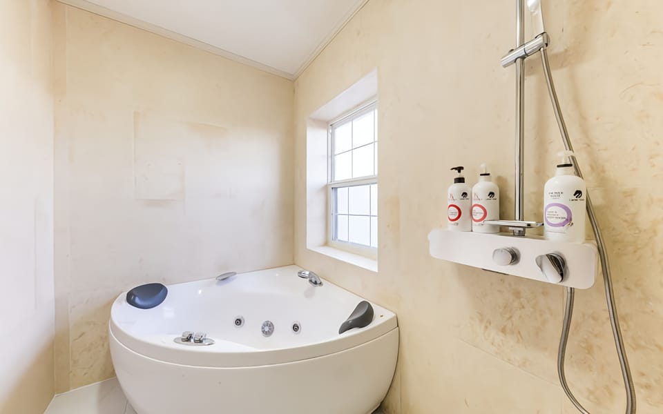 Hair dryer, towels, soap, shampoo
