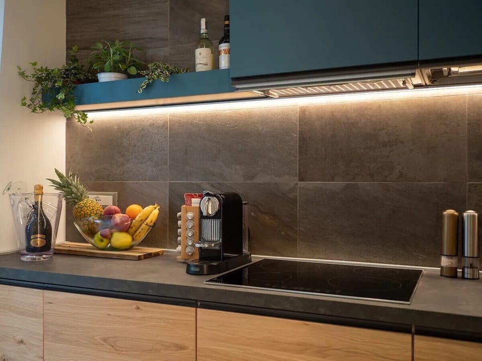 Apartment, City View | Private kitchen | Full-size fridge, microwave, stovetop, dishwasher