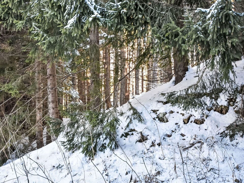 Wood, Winter, Glacial Landform, Freezing, Snow, Ice Cap, Hardwood, Log Cabin, Plank, Lumber