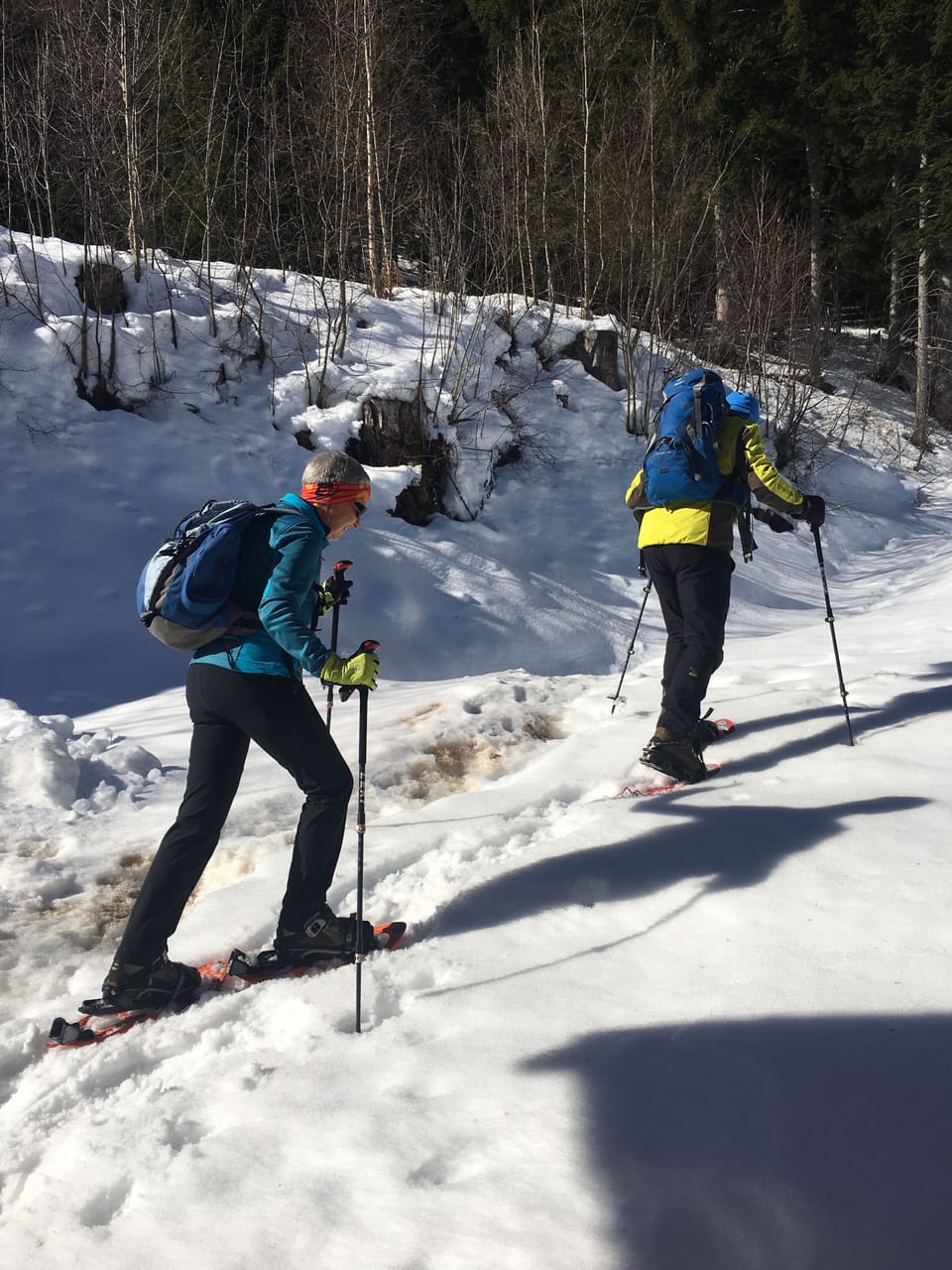 Snow and ski sports