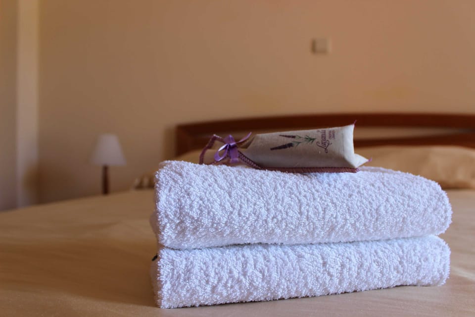 Double Room (Standard Double room with Balcony and) | Interior