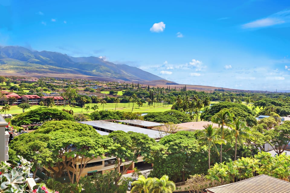 Take in peaceful lush mountain views, where vibrant tropical greenery and serene island scenery create a relaxing and refreshing backdrop.