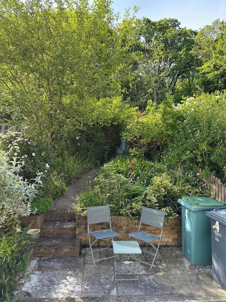 Front garden (leading to woodlands)
