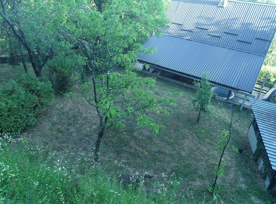 Apartment (One Bedroom Apartment with Hot Tube) | View from property